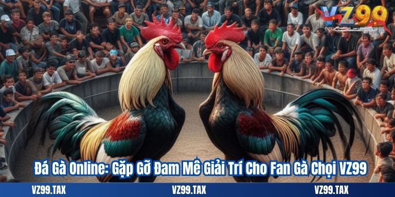 Đá Gà Online VZ99: Gặp Gỡ Đam Mê Giải Trí Cho Fan Gà Chọi VZ99 1 Đá Gà Online: Gặp Gỡ Đam Mê Giải Trí Cho Fan Gà Chọi VZ99